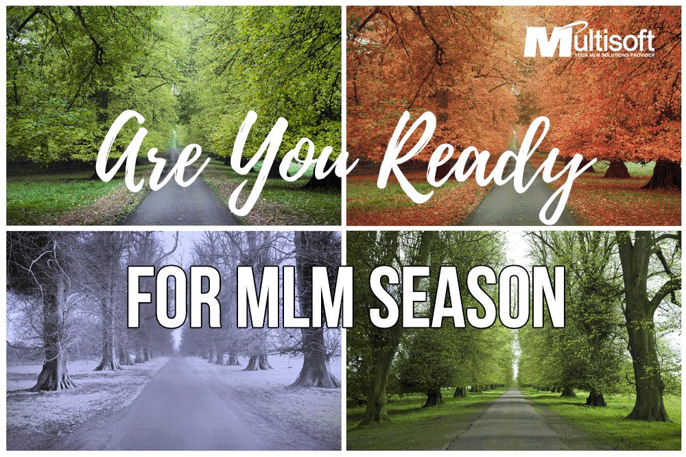 MLM Season