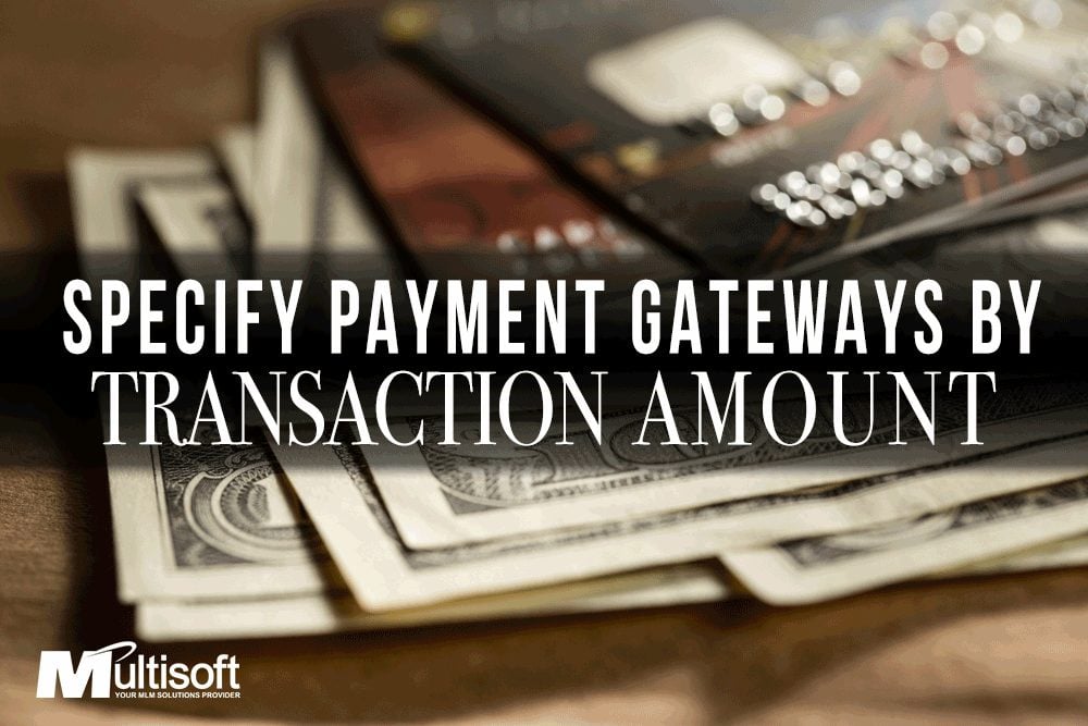 Gateway by Payment Amount